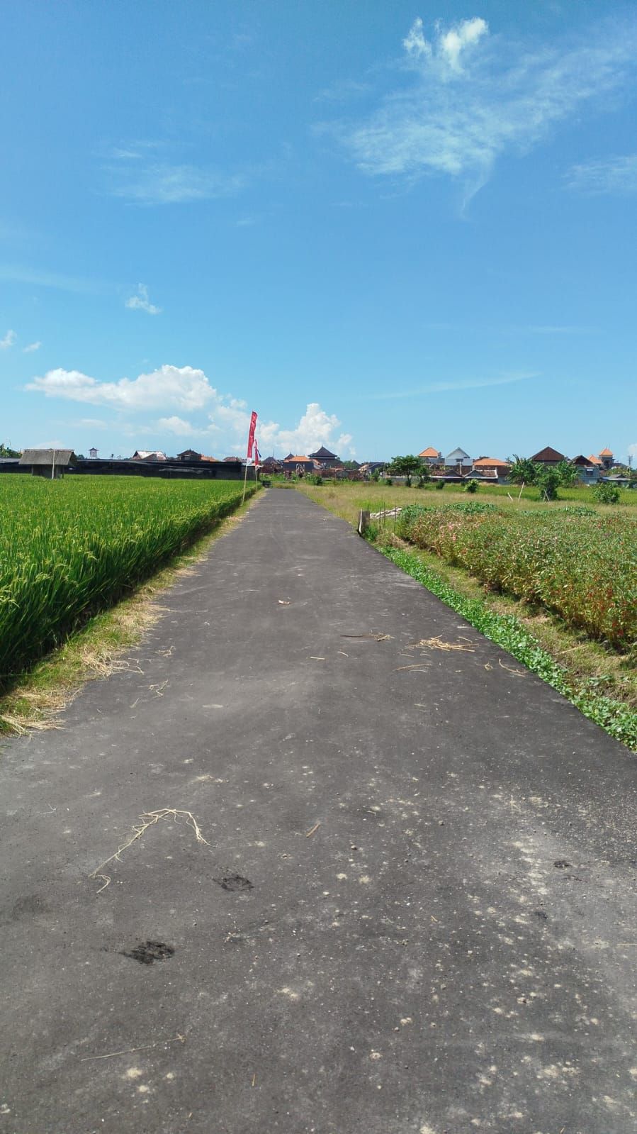 Disewakan tanah bagus utk villa
